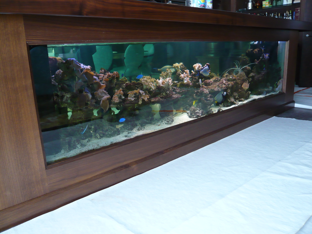 B8 1 jahr in betrieb 12122007 (15)