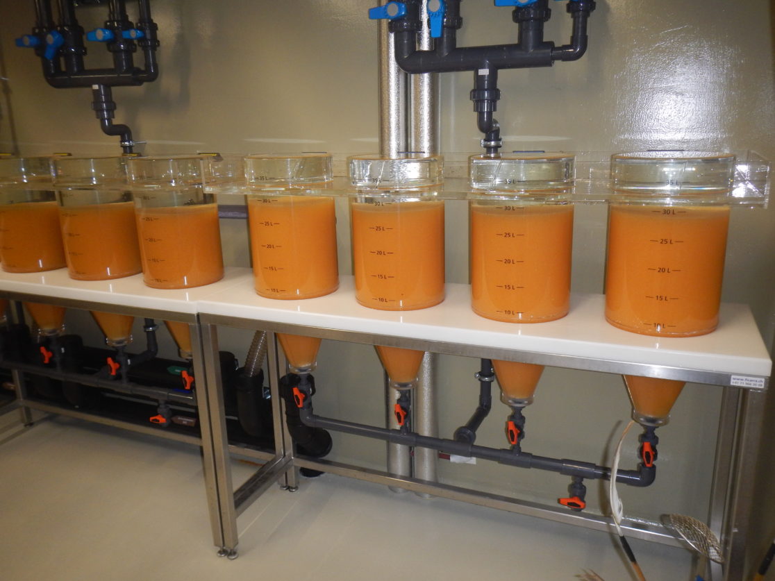 FZB-20171218-4-1-1116x837