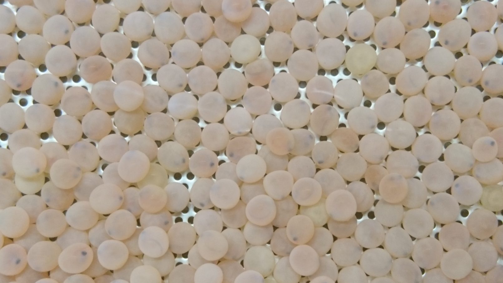 FZB-20171218-9-1612x907