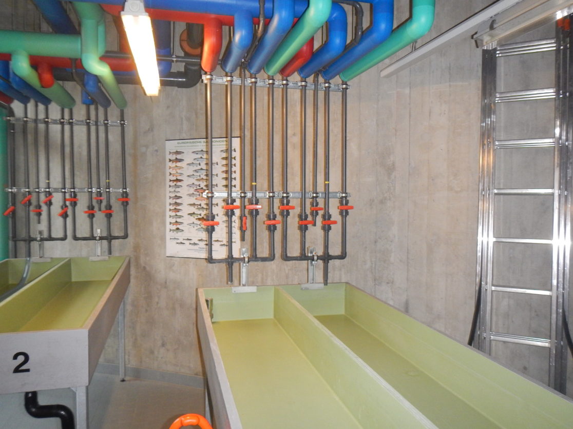 FZW-201019-14-1116x837