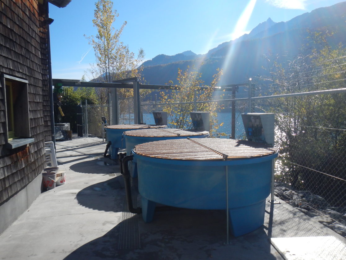 FZW-20171017-27-1116x837