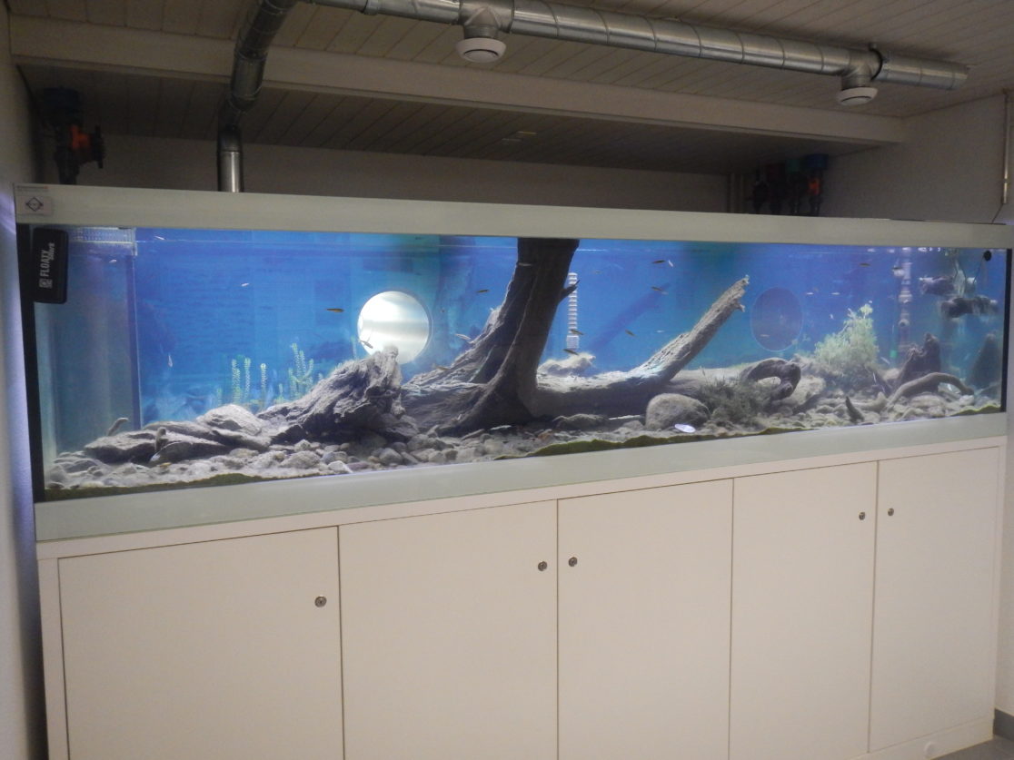 FZW-20171017-47-1116x837