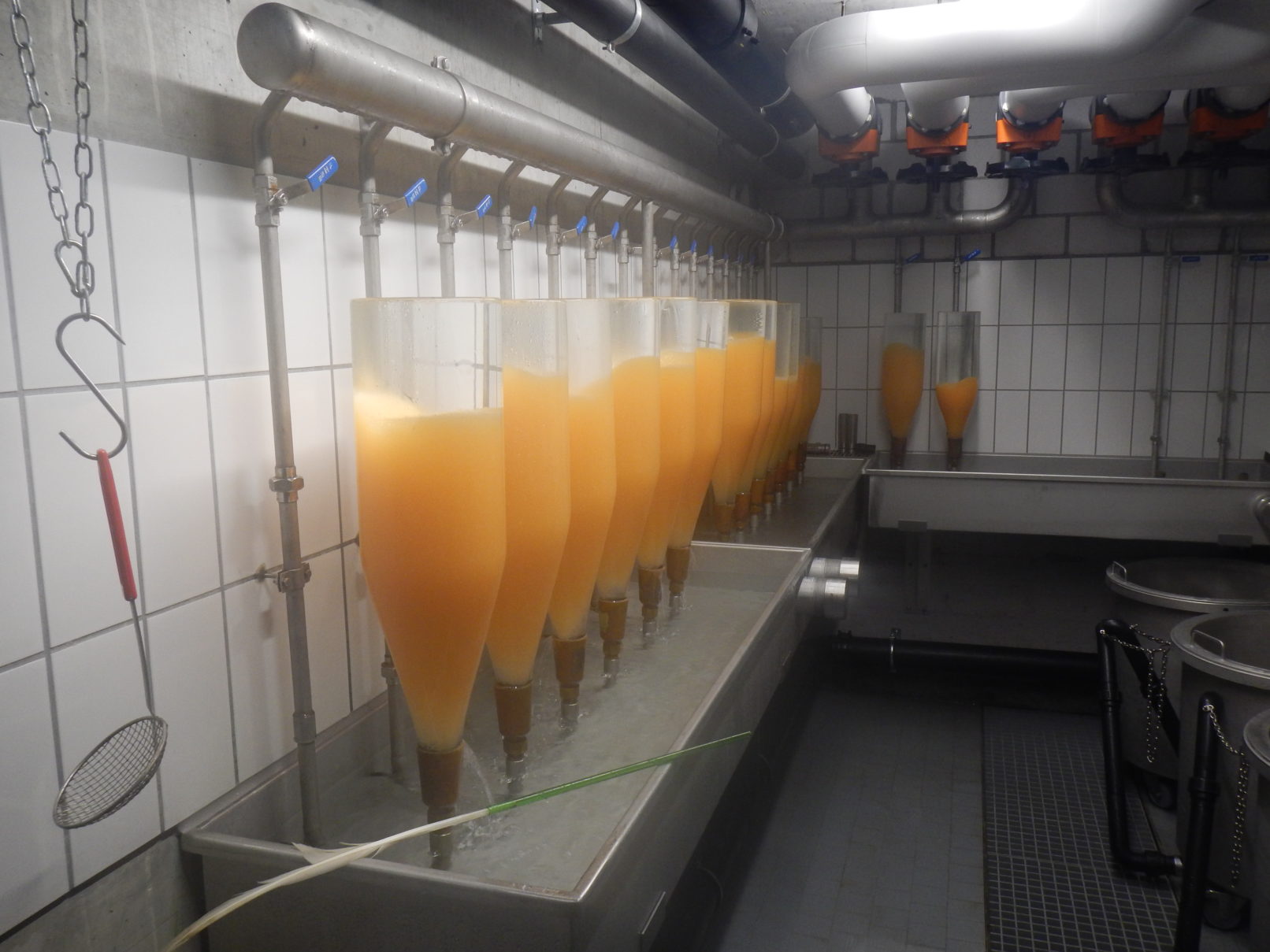 FZW-20171206-3-1612x1209