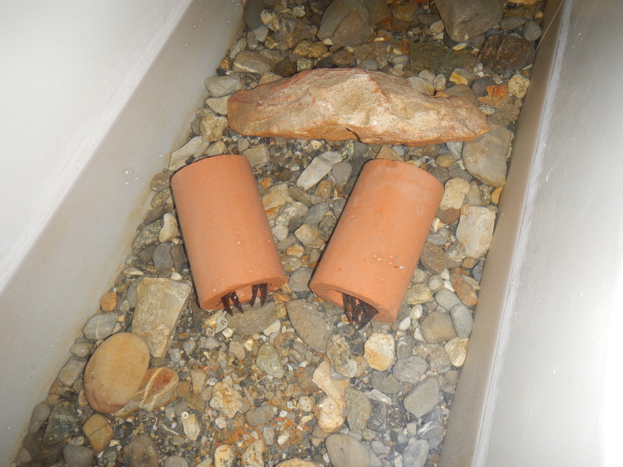 Faulensee FZ 20180322 (5)