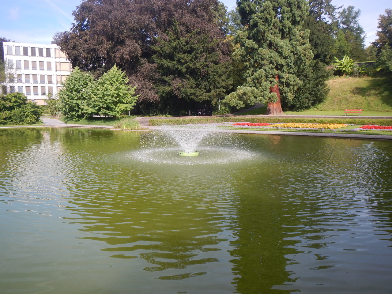 ZH Belvoir Park 20160803 (9)